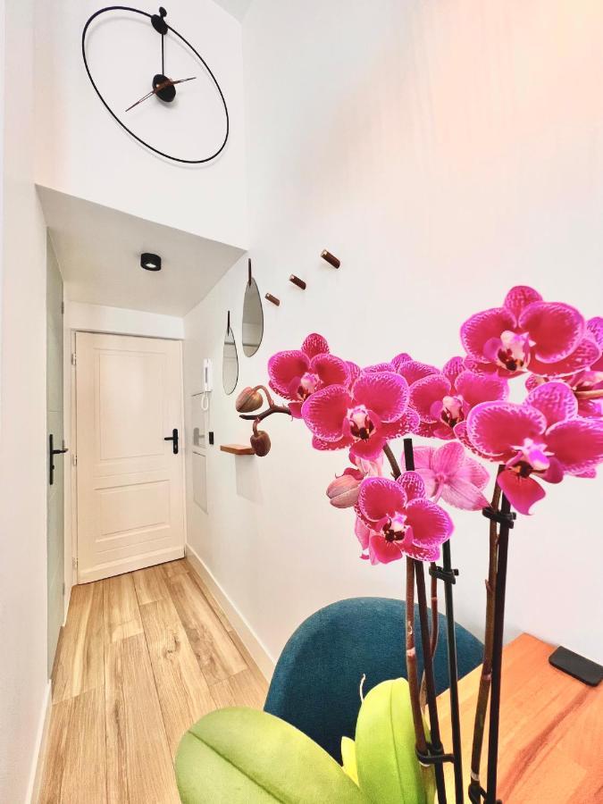 Duplex Le Gesu - Heart Of Old Town - Modern - Wifi - Clim Nice Exterior foto